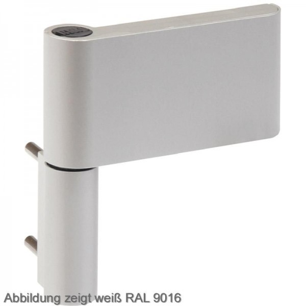 ROTO Haustürband Solid S Türband 117 NN 18-20,5mm RAL9016 weiß 640147