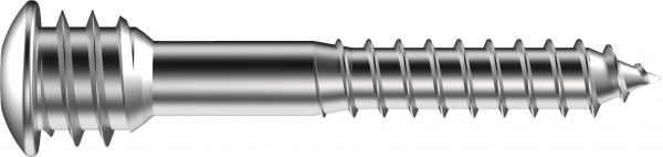 SFS Group SFS Stufenschraube JB-D/L-T30-FB-12X54