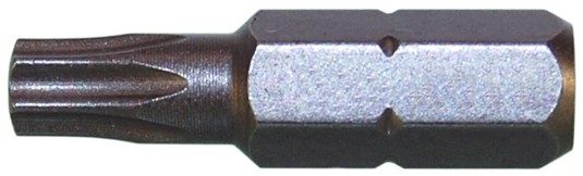 Schraubendreher-Bit ¼ Z T 25 Torx