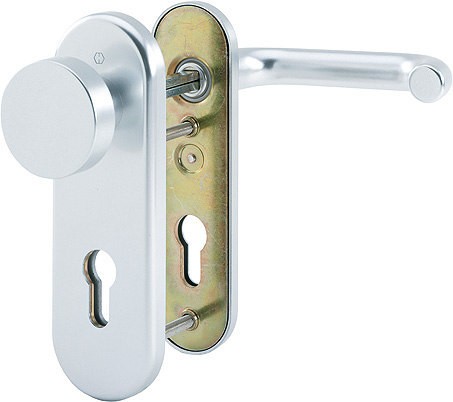 HOPPE Schutz-Wechselgarnitur ES1 Modell Paris, 58/3331K/353K-1/138L, Schnellstift, PZ, 72 mm Entfernung, TS 37-42 mm, Alu F1