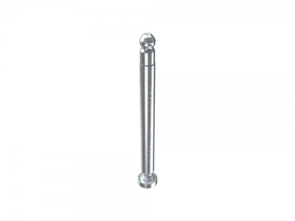 SI Siegenia Scherenlagerbolzen D6 TS 280010 704196