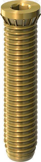 Dr. Hahn Ankerschrauben 48 mm für 1 Band 2-teilig