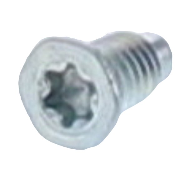 Winkhaus T-Set Senkschrauben M4x8 mm T15 SP. verzinkt Reparatur für Mehrfachverriegelung