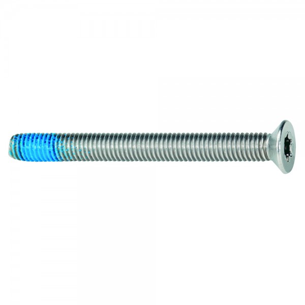 BKS Befestigungsschraube M5 x 100 für TS 102-117 mm