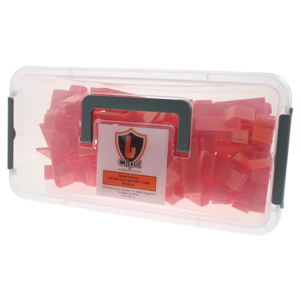 Clipsi Fensterschutz